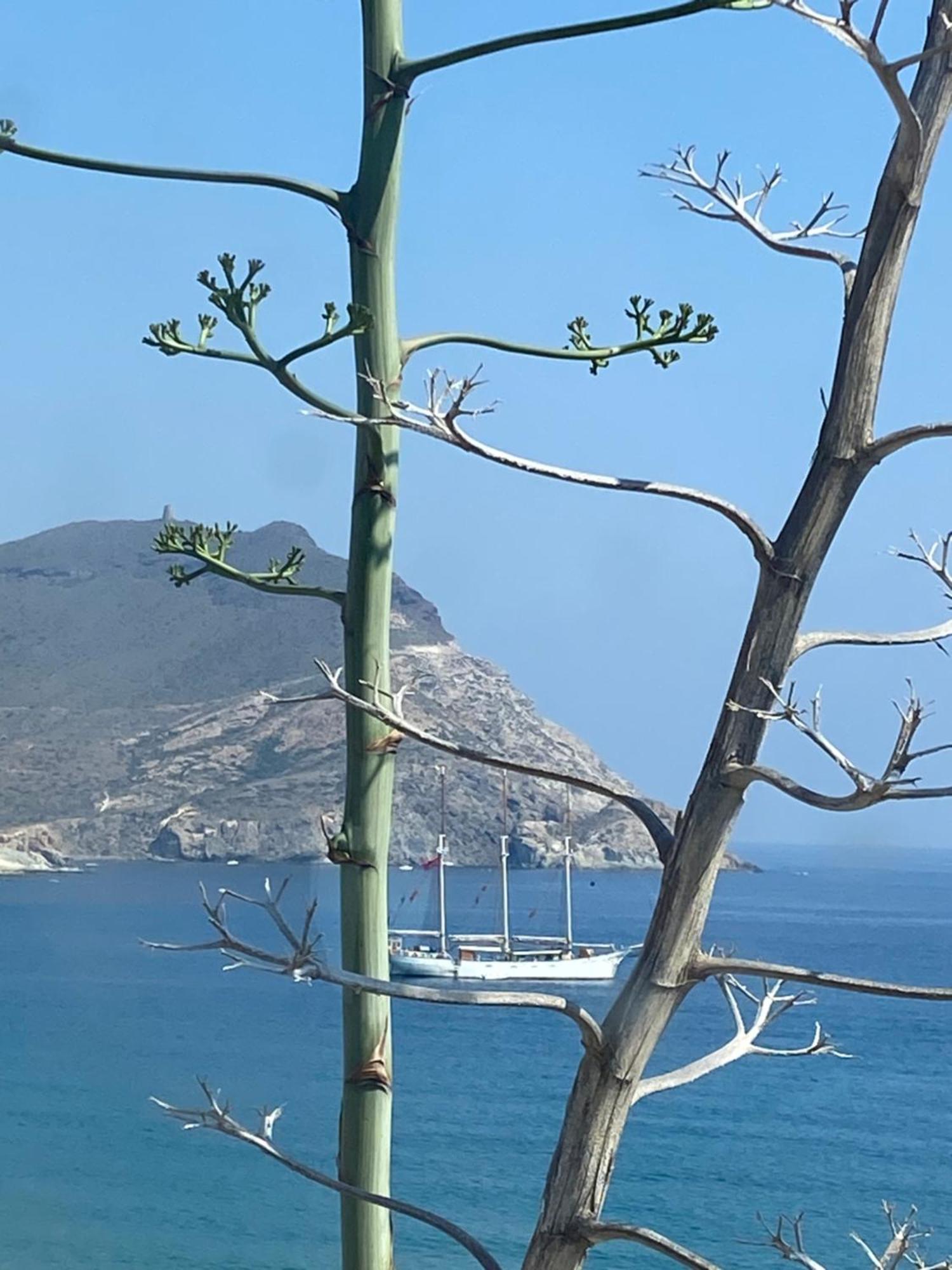 Villa Casa Energia Del Cabo. San Jose Cabo De Gata. Esterno foto